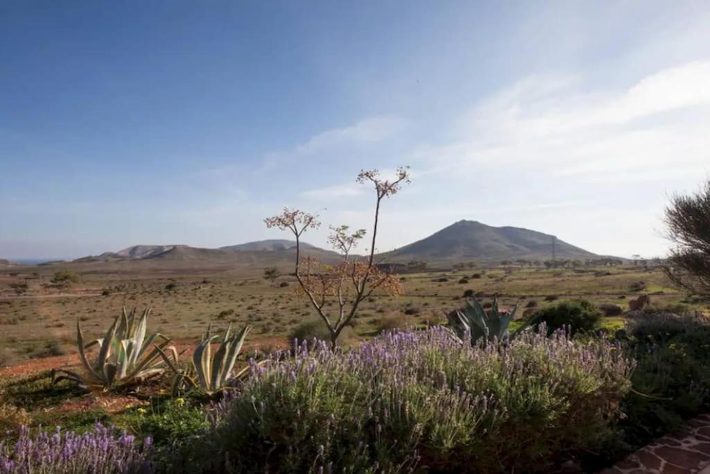 Vila El Risco Colorado, Cabo De Gata Rodalquilar Exteriér fotografie